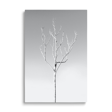 WHITE TREE